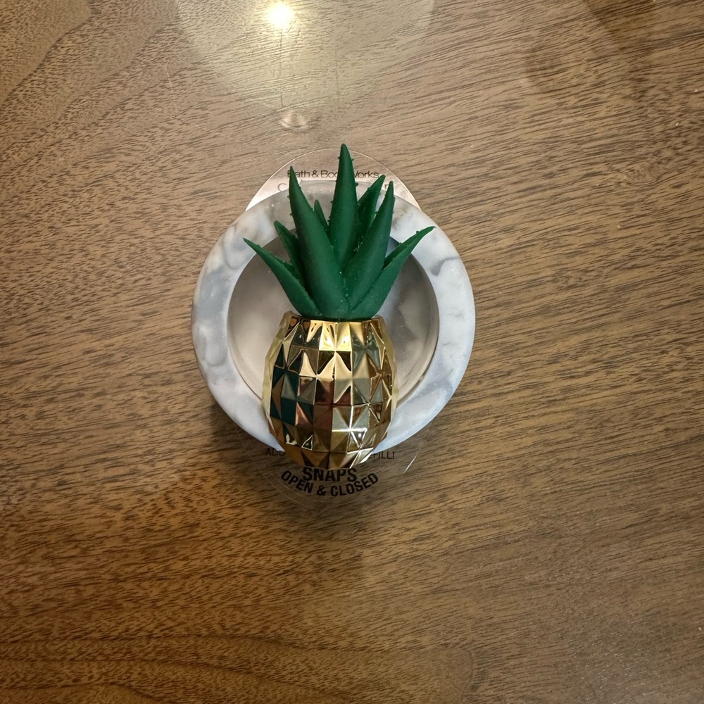 Succulent/Pineapple Car Fragrance Clip from Bath and Body